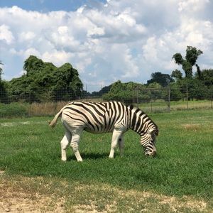 Meet your Posher, Barbara
